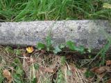 image of grave number 671880